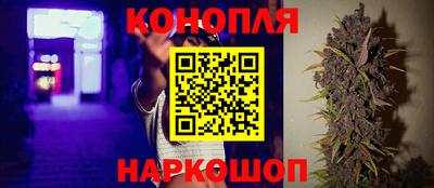 амф Новозыбков