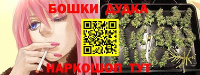 амф Новозыбков
