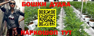 амф Новозыбков