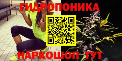 амф Новозыбков