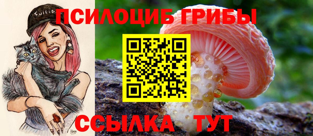 Псилоцибиновые грибы Psilocybine cubensis Феодосия