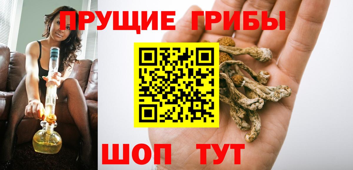 Феодосия  Псилоцибиновые грибы Psilocybine cubensis  Вход с VPN  Псилоцибиновые грибы мицелий 