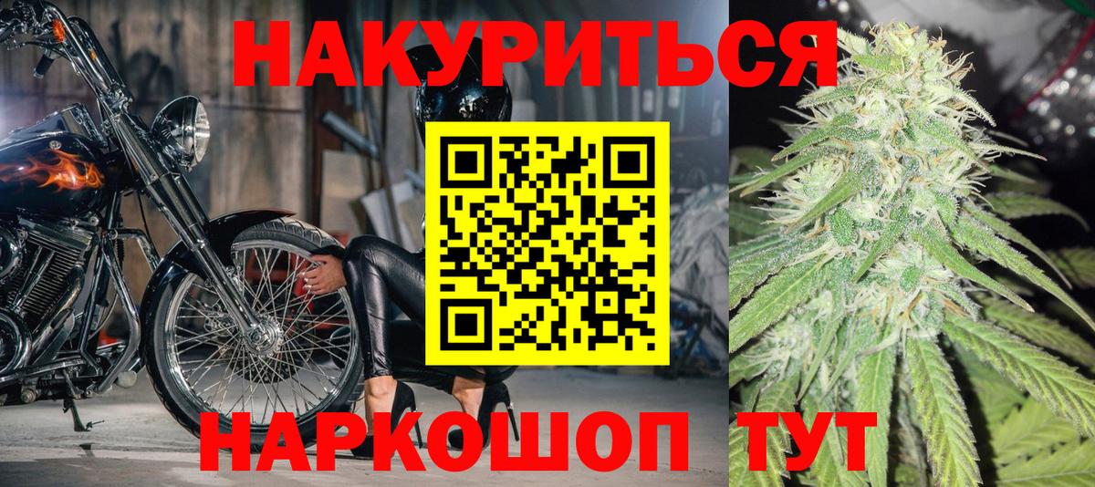 Канабис OG Kush Феодосия